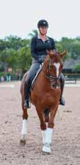 After halting, I ask for a prompt response to move out of the halt into a walk, starting with the hind leg. This exercise can vary a bit depending on how the horse feels on a particular day.