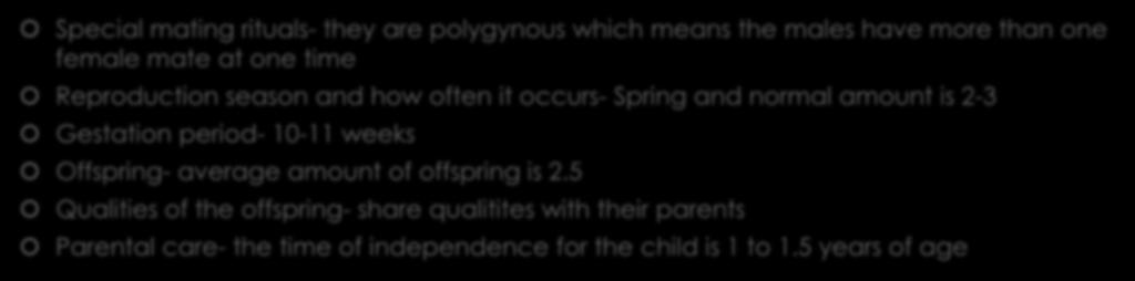 period- 10-11 weeks Offspring- average amount of offspring is 2.