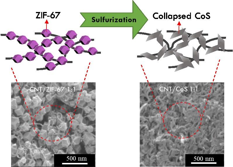 Figure S7 FE-SEM images of CNT/ZIF-67 1:1, CNT/CoS 1:1 and the schematic