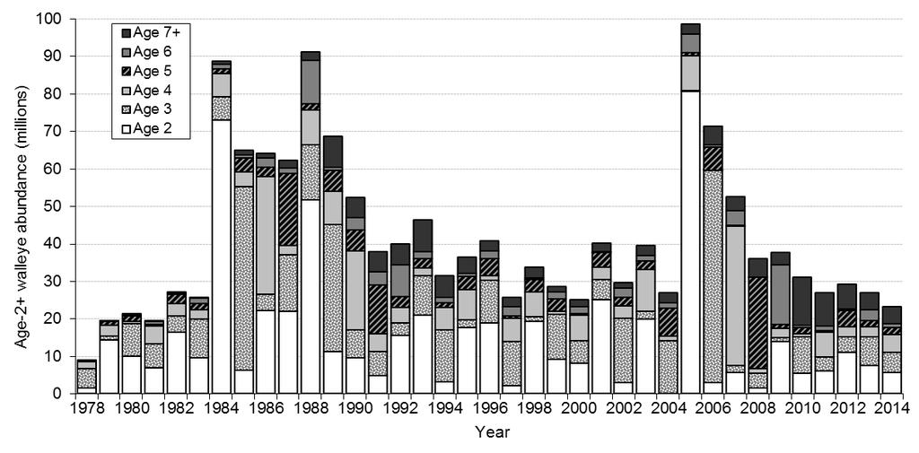 Figure 7. Estimates of abundance by age of Lake Erie Walleye 1978-2013. 2014 ADMB statistical catch at age model. Data shown are from Table 8. Figure 8.
