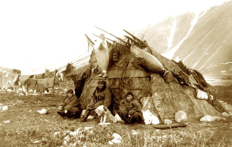 To build shelters, the Inuits used the materials that they found around them. In the summer, they made tents by stretching the skins of caribou or seals over driftwood.