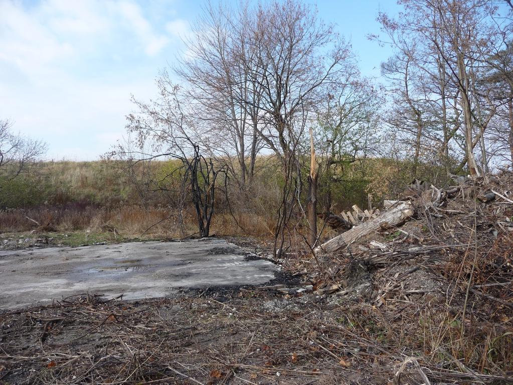 Figure 8: 1470 Bronte Road following removal