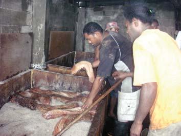 Level 3: Sea cucumber processing by exporting companies Export companies based in a town centre such as Labasa, Suva or Lautoka also buy raw or partly processed products and undertake processing to