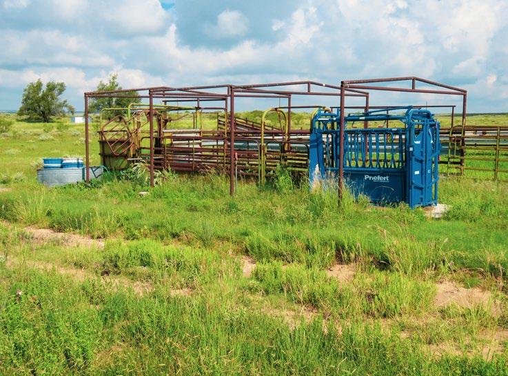 Seller owns a substantial amount of minerals on the ranch.