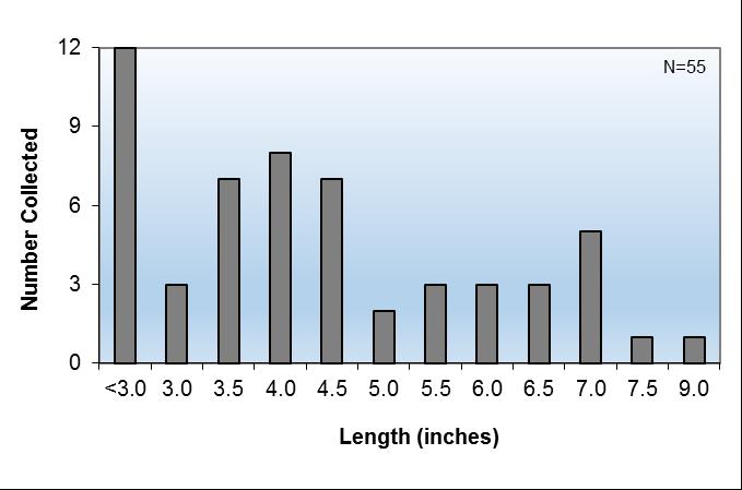 November 2015-15 - Figure 18. Length frequency distribution of bluegill collected from Keystone 2 South, November 2, 2015. Figure 19.