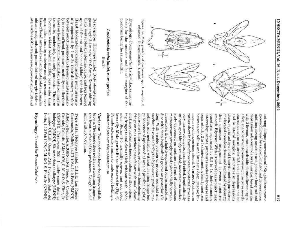 INSECTA MUNDI, Vol. 16, No.4, December, 2002 217 Figures 1-4. Male genitalia of Luchoelmis spp. 1. aequalis. 2. cekalovici. 3. magallanensis. 4. penai. Etymology.