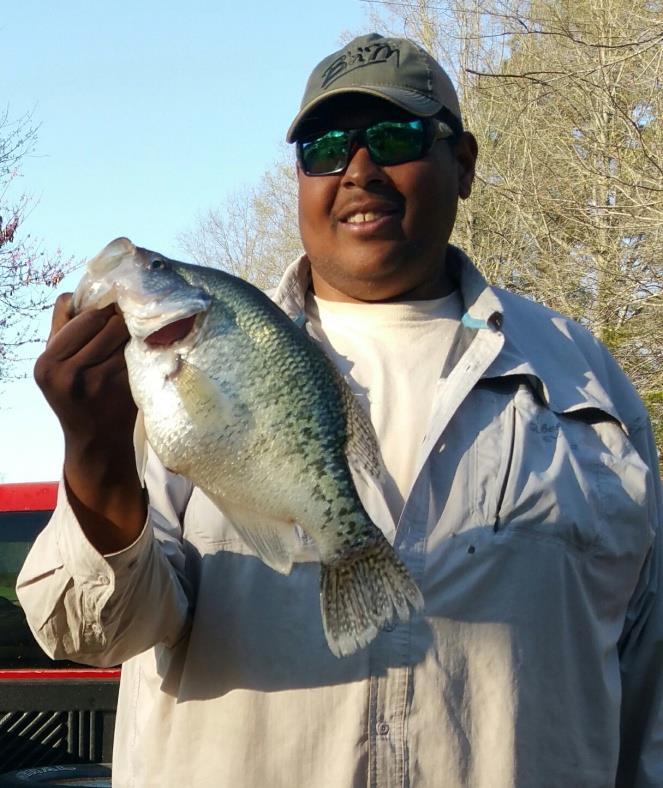 Hours, Pounds Hours, Pounds Fish Harvest and Fishing Effort: Most anglers fished for crappie in 17 (right, top). Crappie and catfish were 87% of annual harvest (right, middle), by weight.