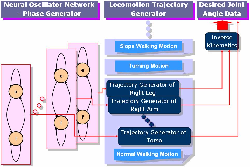 Adaptation in Bipedal Locomotion Using Phase Oscillator Networks Woosung Yang, Shina Murai, Koh Murakami, Wakaba Seo, and Nak Young Chong Japan advanced Institute of Science and echnolog {woo-ang,