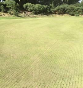 This intensive work is essential to keep our greens surfaces, aprons and surrounds in prime condition.