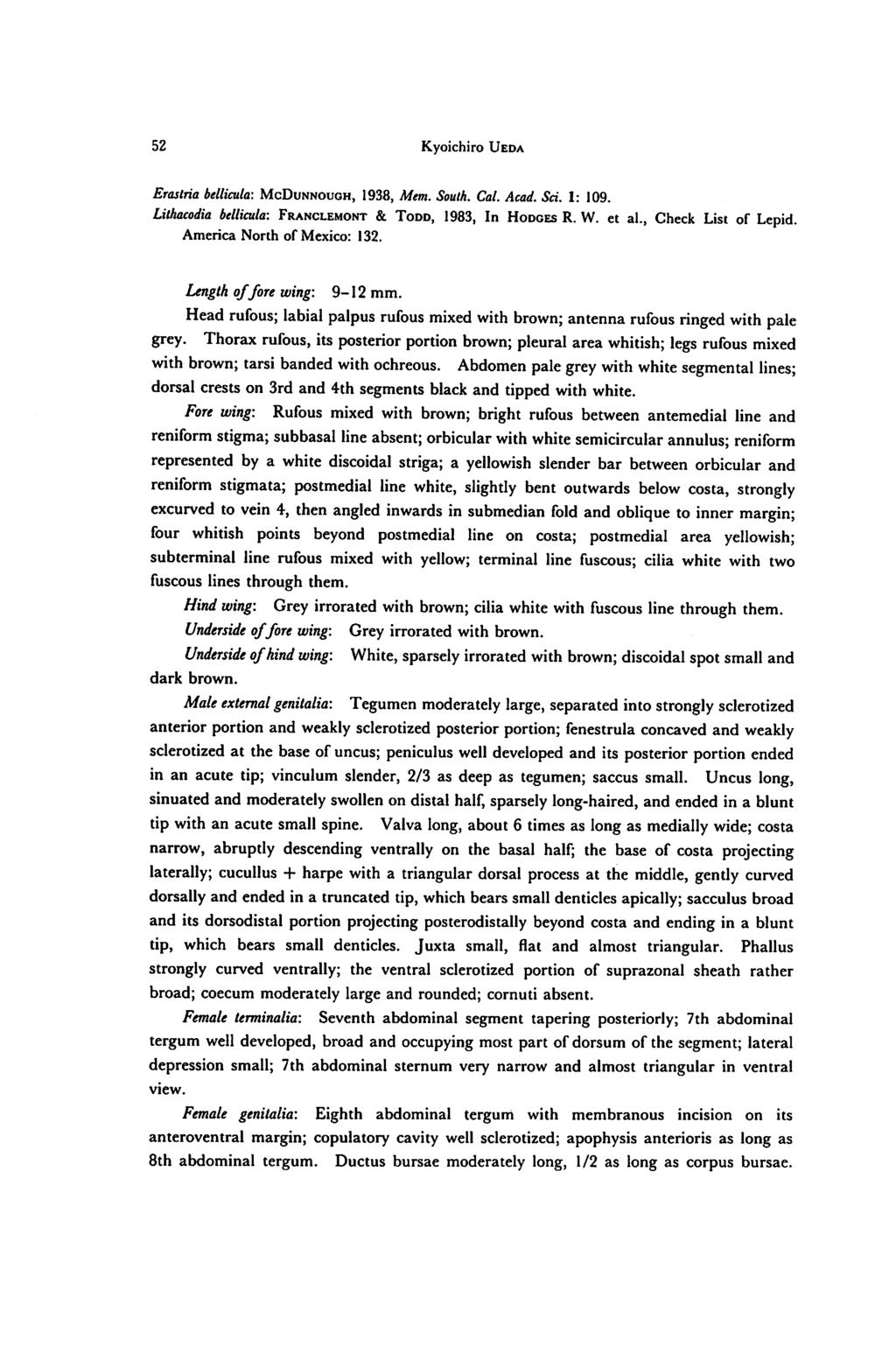 52 Kyoichiro Ueda Erastria bellicula: McDunnough, 1938, Mem. South. Cal. Acad. Sci. 1: 109. Lithacodia bellicula: Franclemont & Todd, 1983, In Hodges R. W. et al., Check List of Lepid.