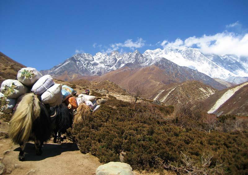 Custom Everest Base Camp Treks: page 8 of 10 Air Travel International Mountain Guides has worked for many years with Ms.