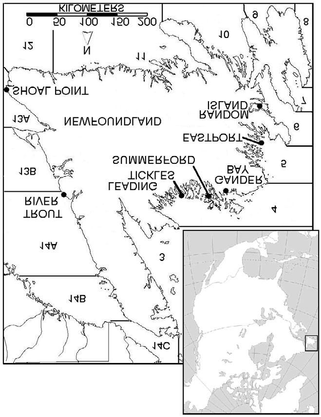 Figure 1. Newfoundland lobster fishing areas (LFAs). Lobster fishing licenses have been required since 1918, and approximately 2,900 licenses were given to lobster fishers in Newfoundland in 2006.