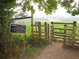 Retrace your steps, go left and continue until reaching a kissing gate. Now go ¼ left under telegraph wires through a gate and on to a kissing gate at the bottom of the field.