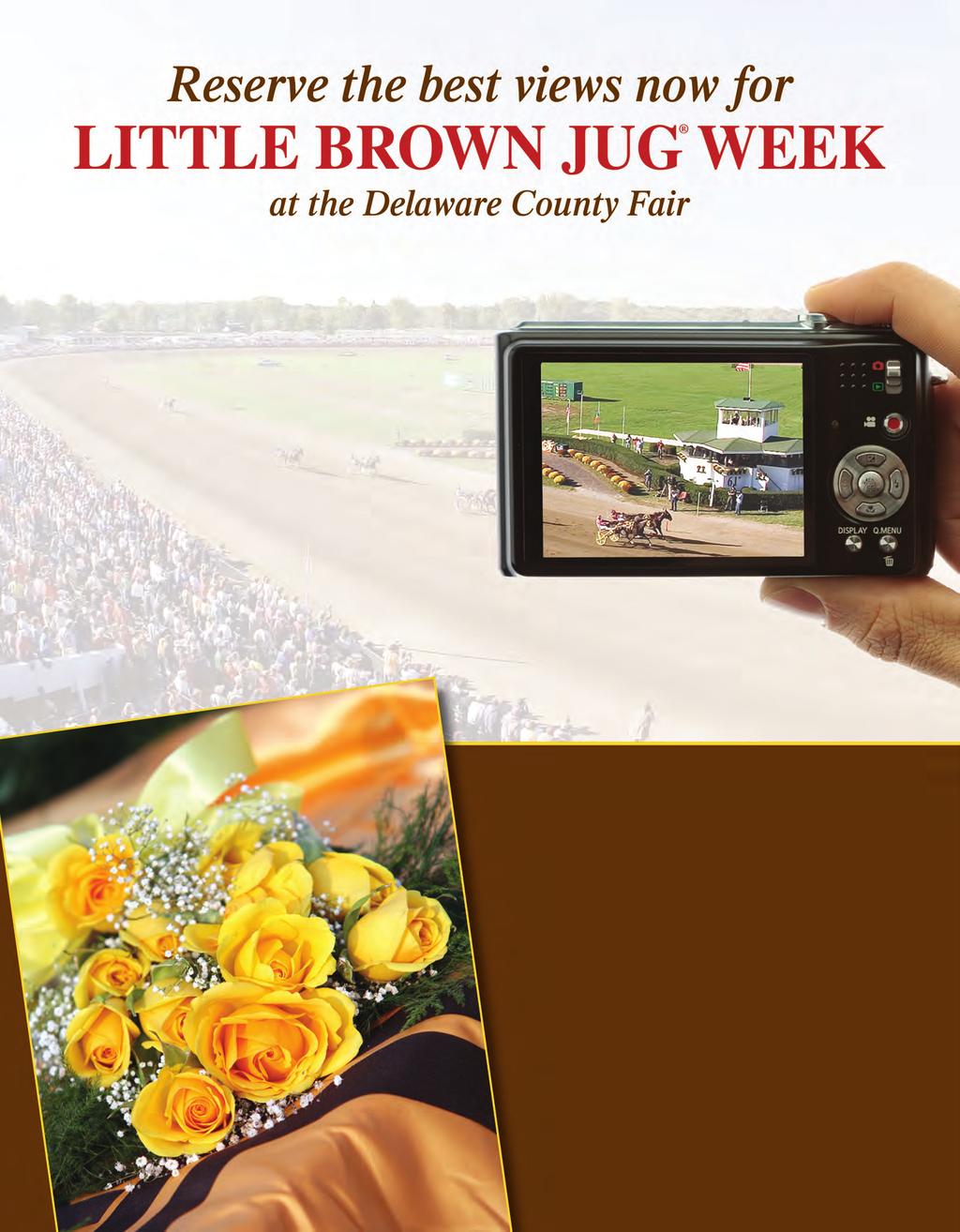 Grand Circuit Racing: September 19 23, 2010 The Jugette September 22 The Little Brown Jug September 23 Enjoy real VIP treatment on the first turn in the VIP PAVILION A delicious buffet served all