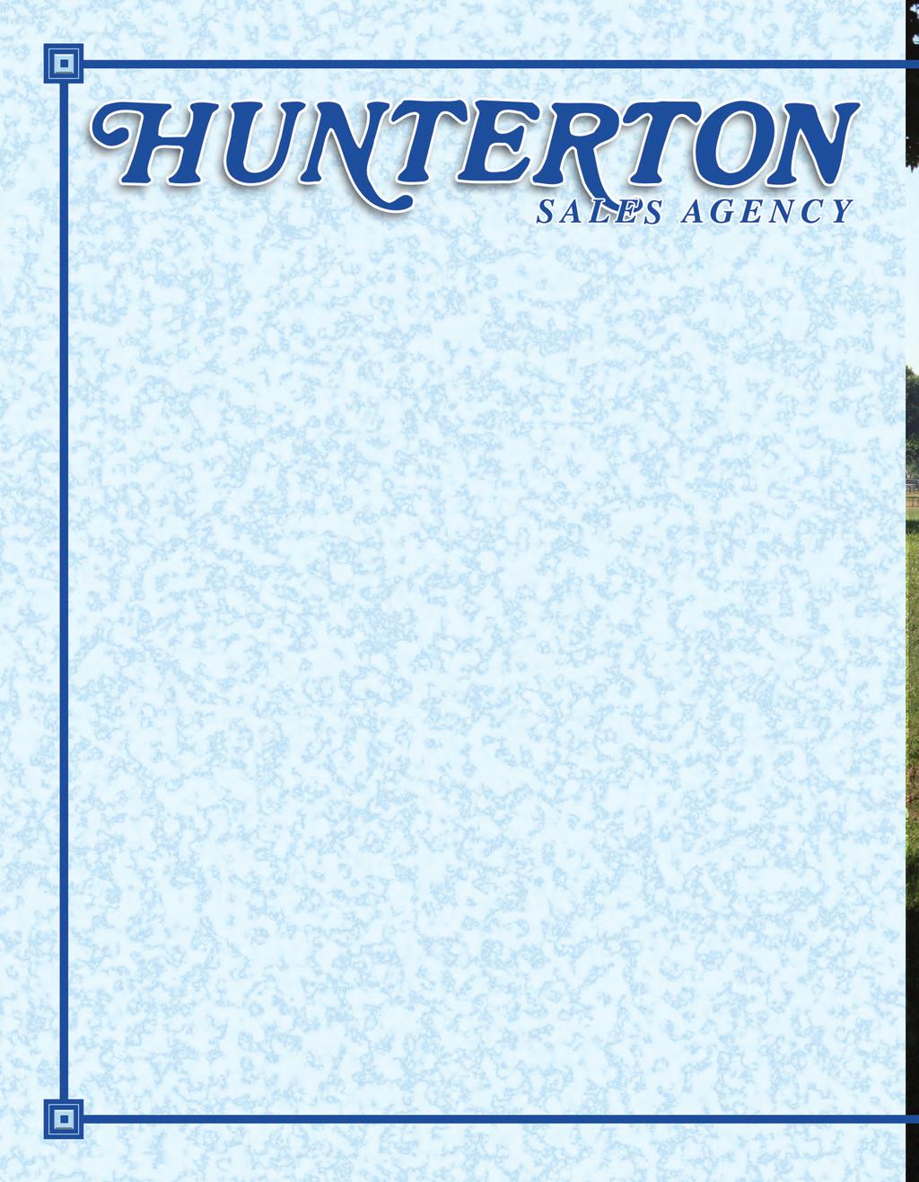 As you begin your search for the best yearlings, be sure to visit Hunterton.