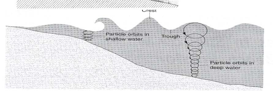 When this happens, the wave slows and the water parcel orbits become more elongated.
