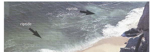 5 Rip Current Zones Tell-tale signs of rip