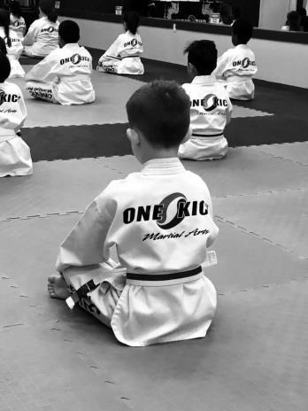 Onekick Martial Arts Spring and Summer Camps offer a safe, exciting, and educational experience for children 5 through 12 years of age.