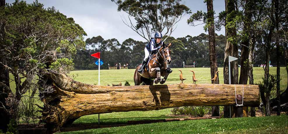 SPONSORSHIP at WALLABY HILL Wallaby Hill 3 Day Event CCI 3,2 & 1*, EvA105, Eva95 30 November 3 December 2017 The Wallaby Hill International 3 Day showcases Australian Eventing at its best.