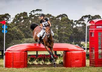 3* Sponsorship Package Plus the Showjumpers vs Eventers Class at the Wallaby Hill Equestrian Extravaganza on Sunday the 11th February 2018 here at Wallaby Hill.