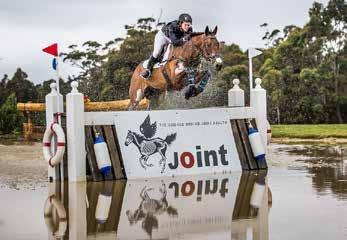 1 1 Jump Sponsorship Packages SHOWJUMP $2,000 1 x Show-Jump inscribed with your business logo Cross-Country Water Jump $3,000 Sponsorship Package Sponsorship (only 2 packages available) Cross-Country
