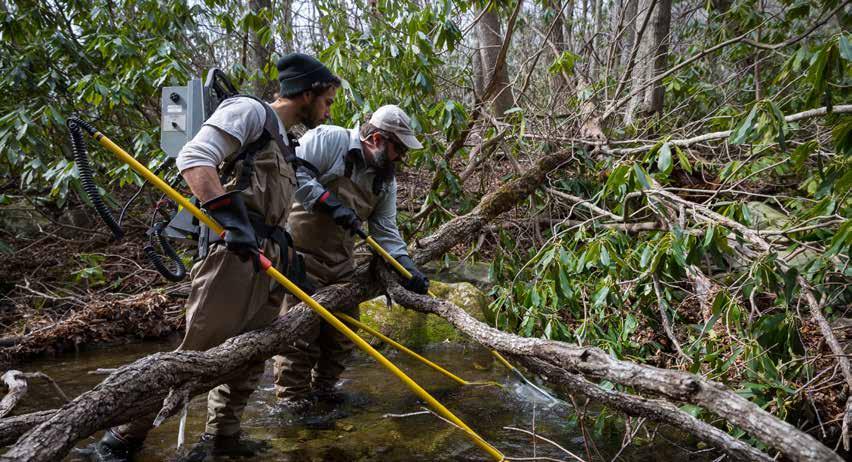 EBTJV s approach uilding from its wild Brook Trout assessment work, the EBTJV has developed strategies that provide the blueprint for Brook Trout conservation actions at multiple scales across the
