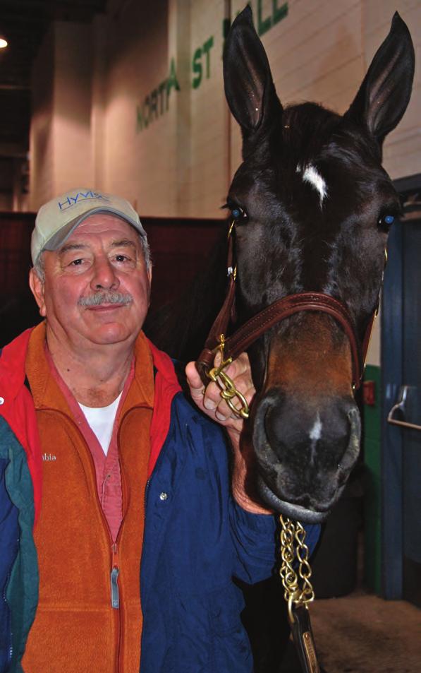 DR. LARRY SAUTTER THE SALE DOCTOR caring for his own small band of broodmares and those he boards.