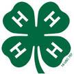 OCTOBER 2018 page 4 https://texas.4h online.com/ We use 4-H Connect to sign up to be a 4-H member and to register for contests and 4-H events. Be familiar with it, save it to your computer and phone.