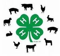 4-H Club Meetings Tolar 4-H - Tuesday, January 2nd at 6:30 pm at FNB Tolar. Lipan 4-H - First Thursday of the month. Next meeting: January 4th.