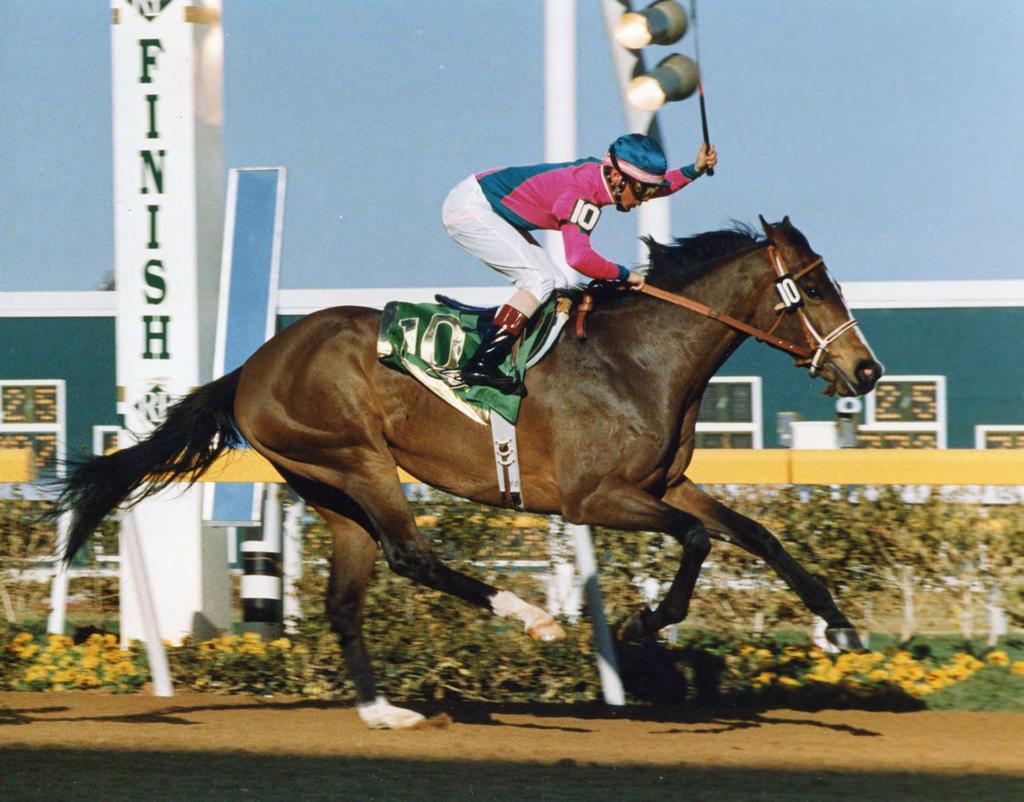 still kicking at 26 Clever Trevor captures the inaugural Remington Park Derby (now the Oklahoma Derby) in 1989, and he now has a stakes race named in his honor at the Oklahoma City track.