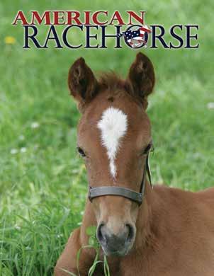 American Racehorse covers the racing and breeding industry in Alabama, Arkansas, Colorado, Georgia,