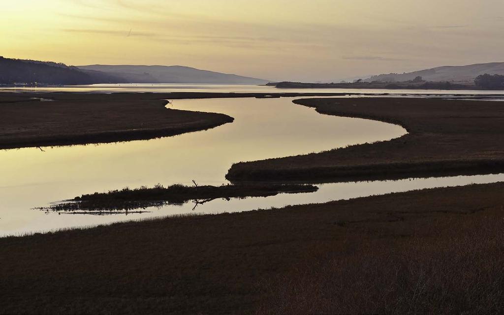 Key Findings Marshes could convert to mud flats, and may move upland Community Development