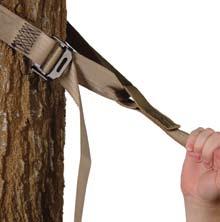 3. Once you have reached the strap, engage the platform and seat climber. Slide the safety rope up the tree.