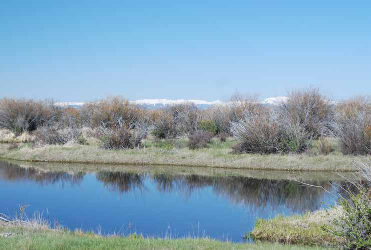 Live Water: Faler Creek Ranch offers private wade fishing on Faler Creek, flowing through the ranch for over 1 mile on the meander.
