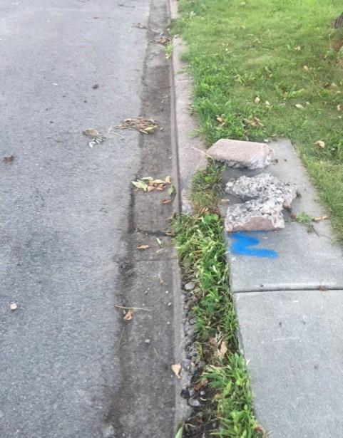 9 $200,000 CURBS AND SIDEWALKS LOCATION: VARIOUS LOCATIONS THROUGHOUT THE WARD Small curb and sidewalk repairs throughout the ward until money is expended