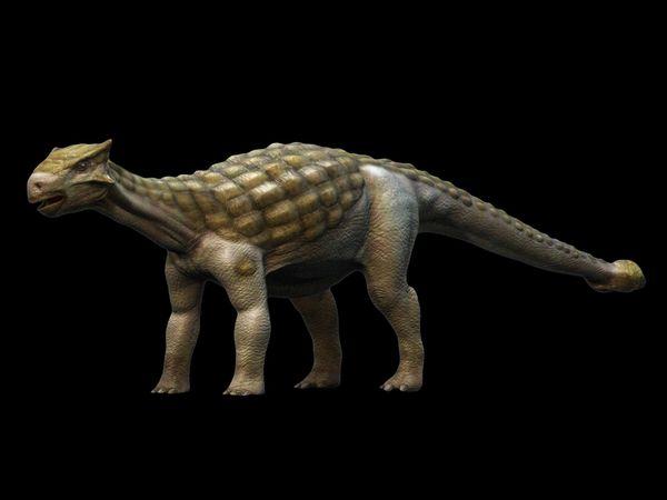Ankylosaurus-- It has bony plates on its back and a