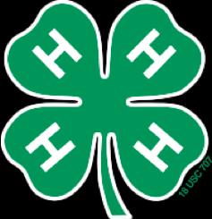 Woodbury County 4-H has activities going all month long.