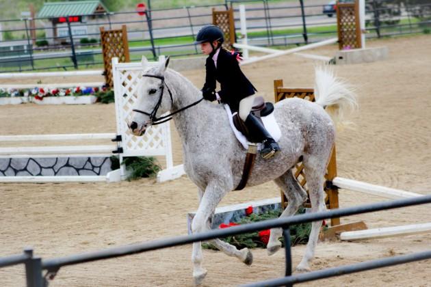 Jumpers division! - Madi and Cinnamon also had a great show in the Long Stirrup Division.