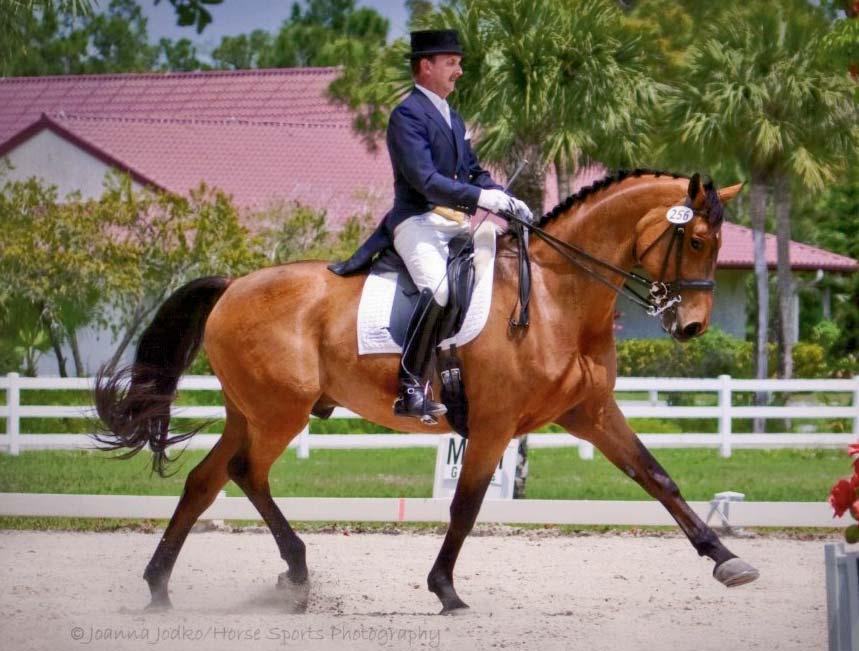 Work off the lunge without stirrups can also be very useful finding a more stretched down leg position without gripping, but must only be done when you are balanced enough from your work on the lunge