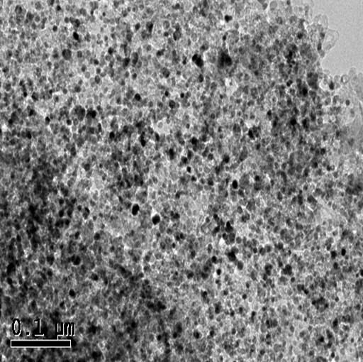 S12 SEM images of the NF@Ni/C-700 samples obtained by