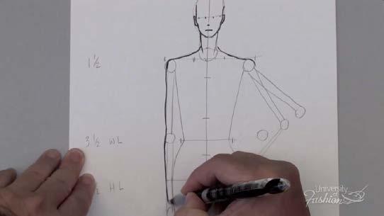 Module 3 Front Body Development Step 5 To draw the arm, you need to follow the position of