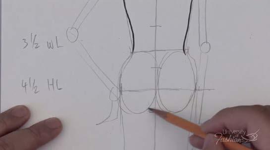 Module 6 Back Body Development Step 4 Using your pencil, draw in 2 very round