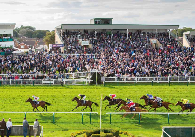 AN EXCLUSIVE EXPERIENCE RACING & FINE DINING Set in the North of Great Yarmouth and only a few minutes walk from the beach, Great Yarmouth Racecourse offers one of the most picturesque racecourse