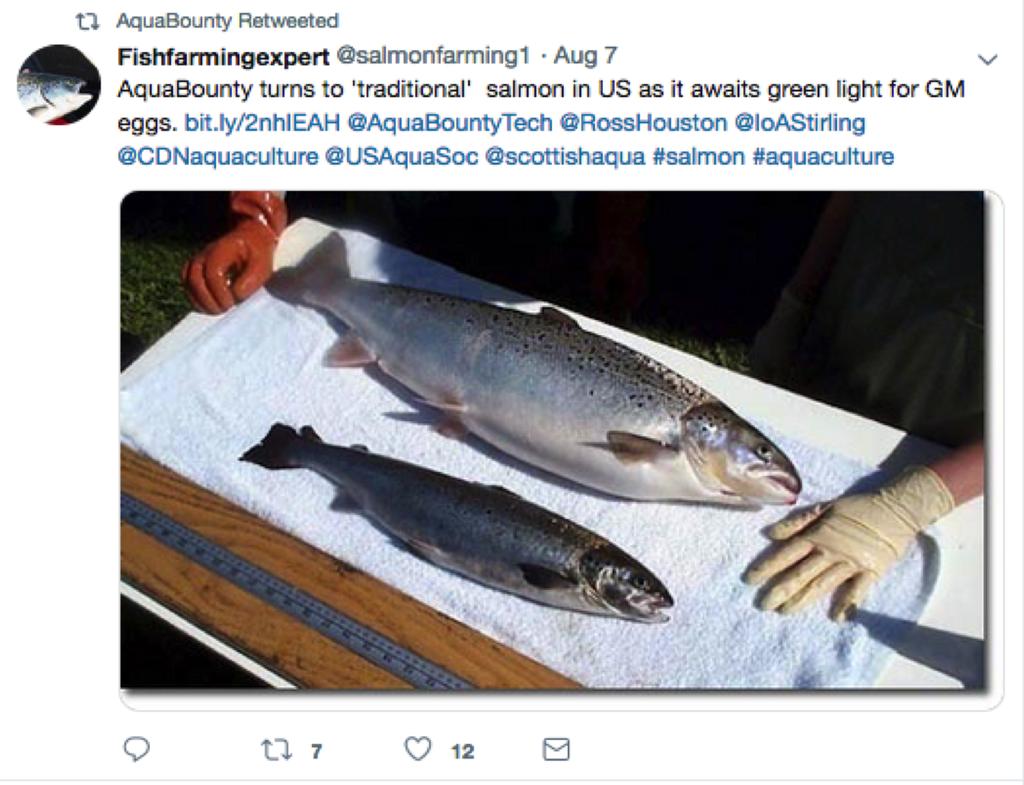Regarding AquaBounty s statement that The only salmon fresher than AquaBounty s salmon is the one you caught yourself : The suggestion that Canadians could fish for Atlantic salmon is misleading.