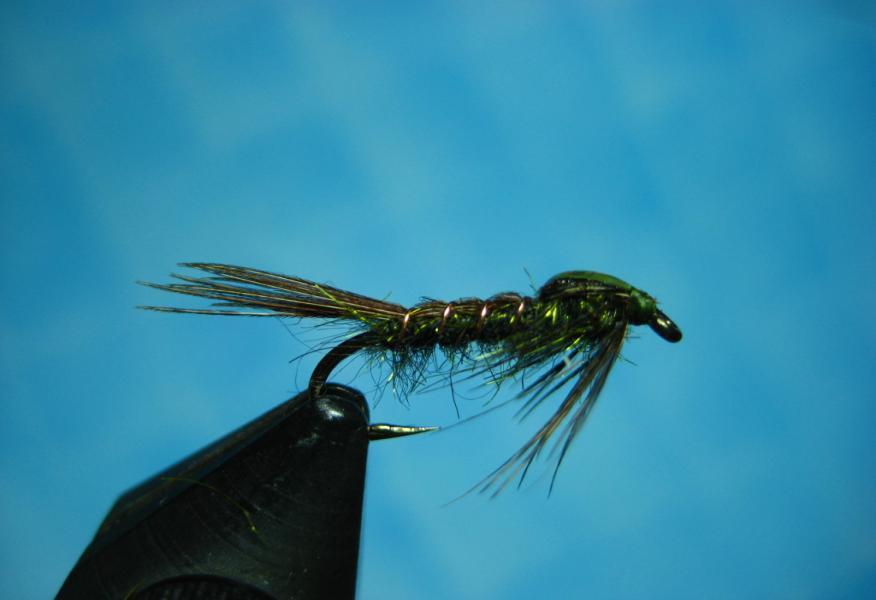 Newsletter of the Truckee River Flyfishers Page 5 Fly Craft Fullback This flashback pattern is a variation of the popular Fullback nymph and is an excellent stillwater searching pattern.