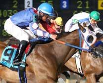 Game was also victorious earlier in the season when he took the $265,285 Louisiana Lassie Futurity (RG2). Game, winning the 2014 Lee Berwick Futurity.