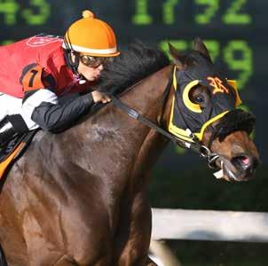 THOROUGHBRED TRACK RECORDS, TIMES & STATS DELTA DOWNS THOROUGHBRED TRACK RECORDS DISTANCE HORSE DATE TIME 2-1/2 furlongs Bedazzle Seattle 03/15/2014 25.83 4 furlongs Rock Afire 12/10/1994 46.