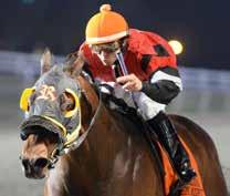 Ide Be Cool, who is owned and trained by Henry Ray Dunn, would also take the $100,000 Pelican Stakes before the 2013-14 Delta Downs season came to a close in March.