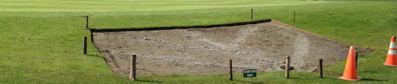 Abnormal Ground Conditions You move the ball Same as Immovable