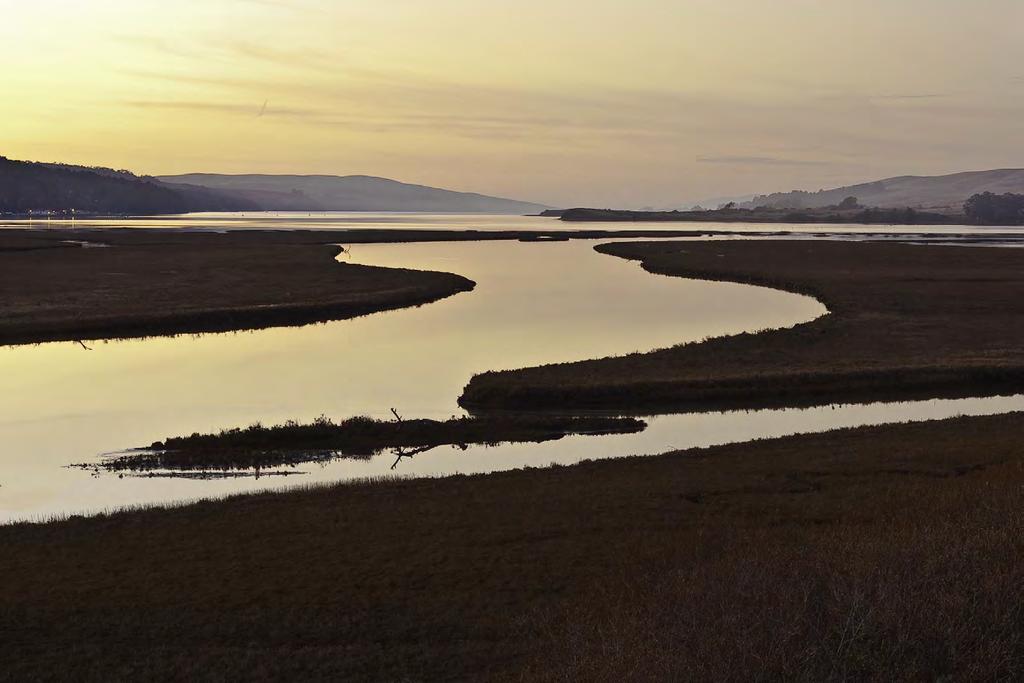 Key Findings Marshes could convert to mud flats, and may move upland Community Development
